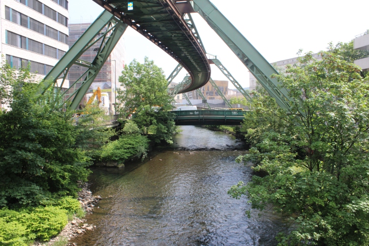 post cover image
